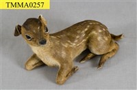 藏品(山羌)的圖片